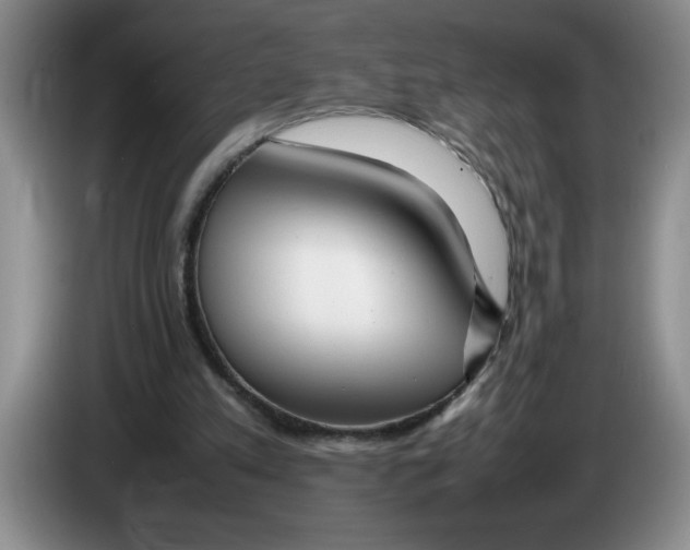 X0000083600197200703091748