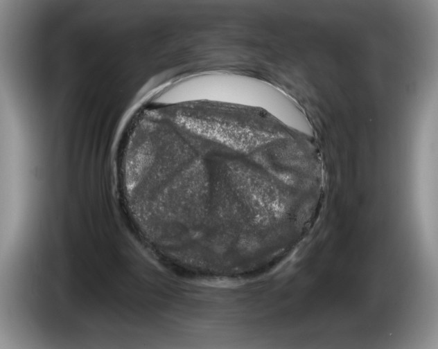 X0000083600198200703091748