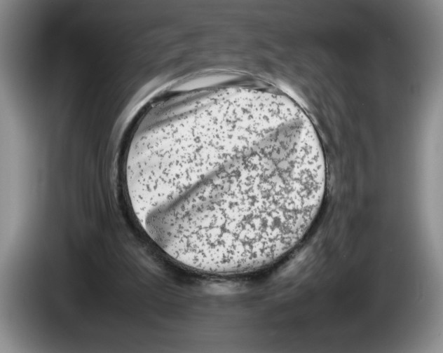 X0000083600199200703091748