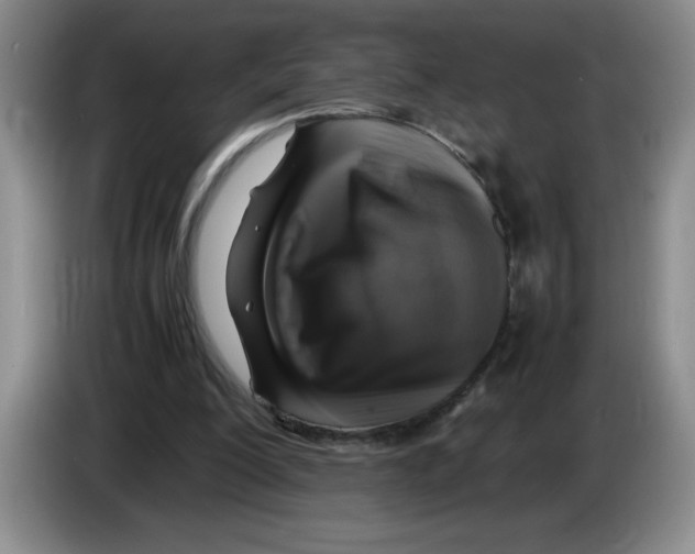 X0000083600200200703091748