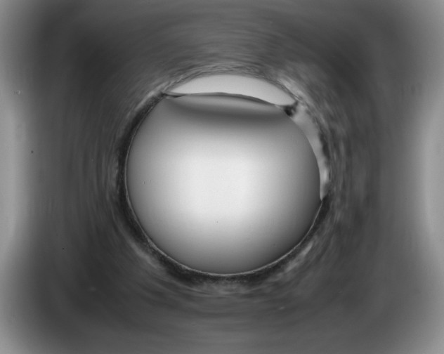 X0000083600201200703091748