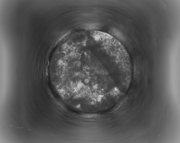 X0000083600202200703091748