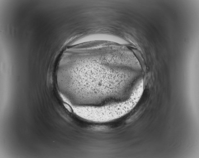 X0000083600203200703091748