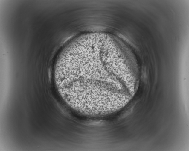 X0000083600206200703091748