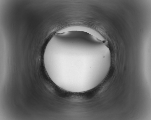 X0000083600207200703091748