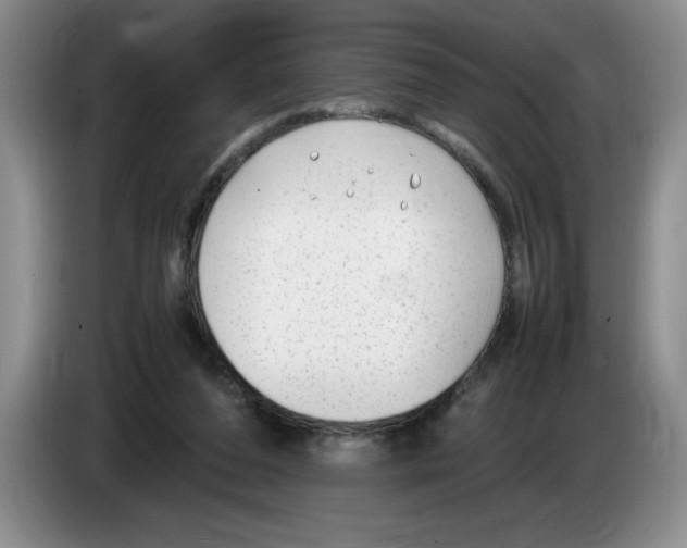 X0000083600208200703091748