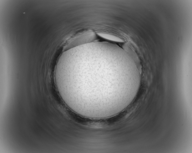 X0000083600209200703091748