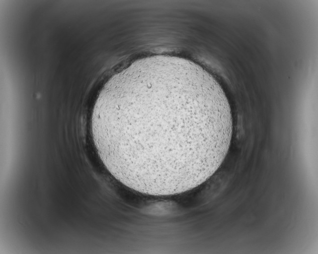 X0000083600210200703091748