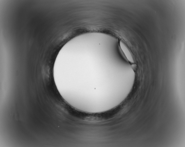 X0000083600211200703091748