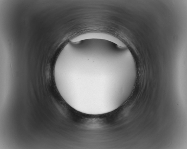 X0000083600212200703091748