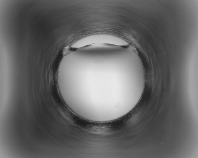 X0000083600213200703091748