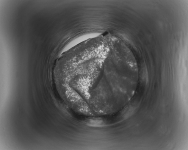 X0000083600214200703091748