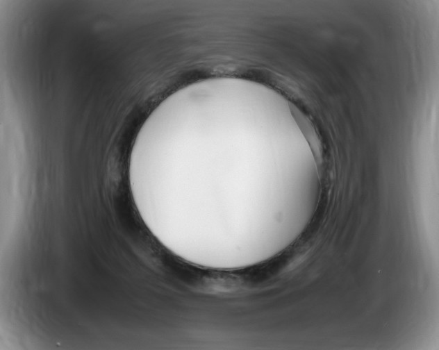 X0000083600215200703091748