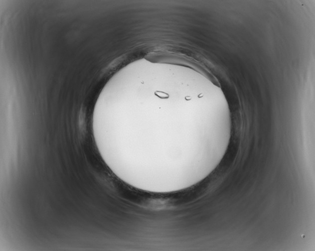 X0000083600216200703091748