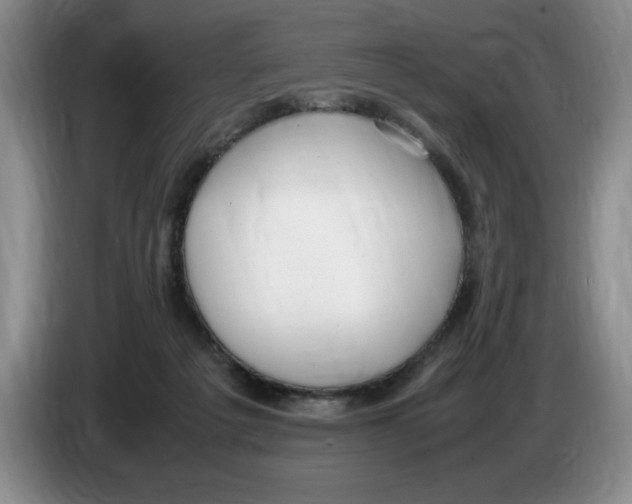 X0000083600217200703091748