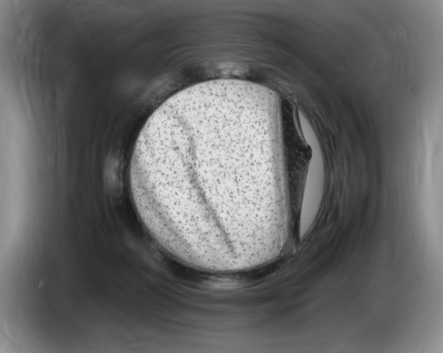 X0000083600218200703091748