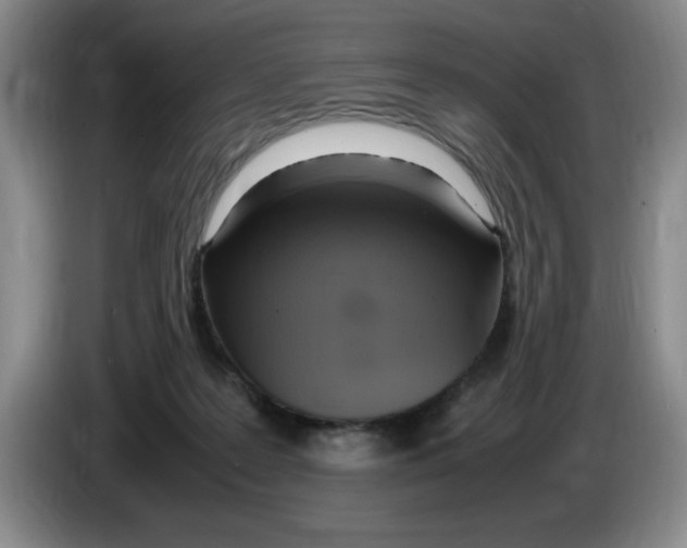 X0000083600219200703091748