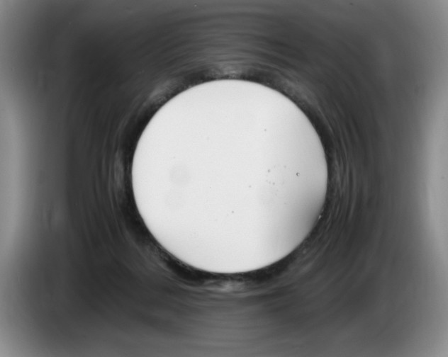 X0000083600220200703091748