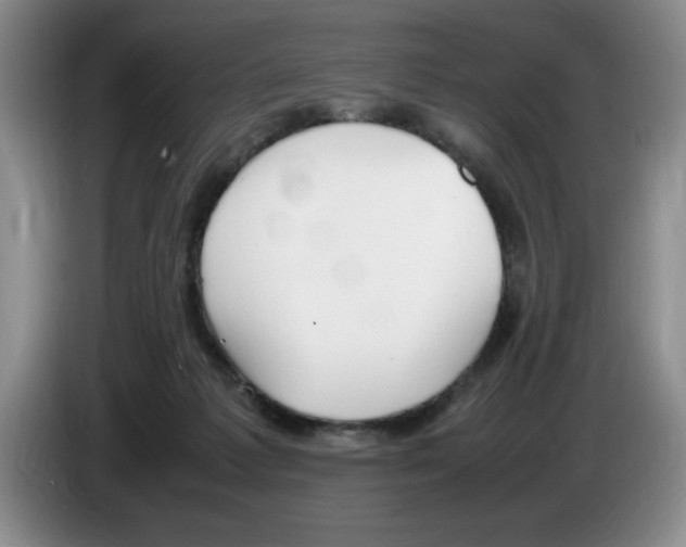 X0000083600221200703091748