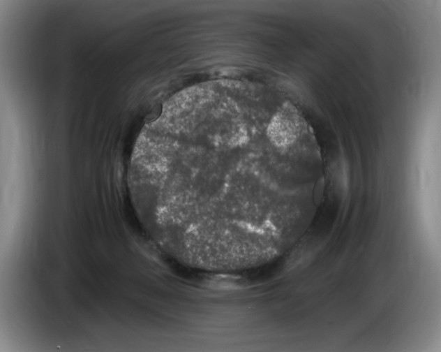 X0000083600222200703091748