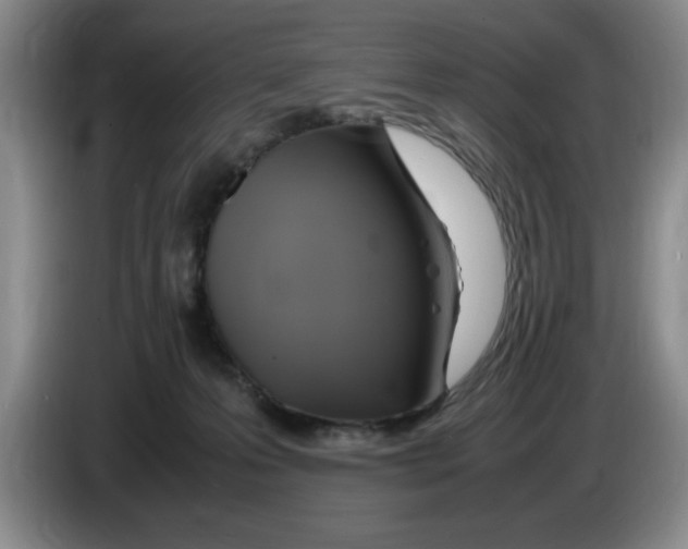 X0000083600223200703091748