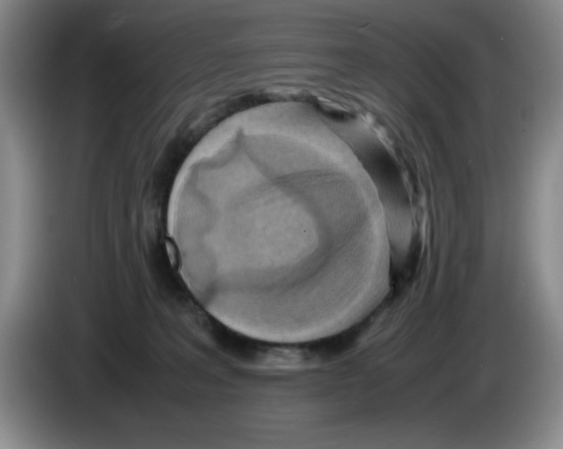 X0000083600227200703091748