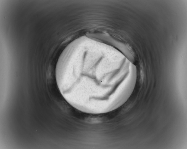 X0000083600228200703091748