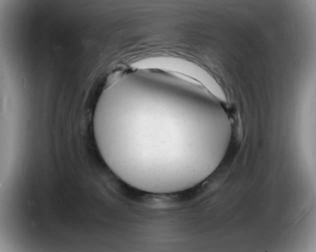 X0000083600229200703091748