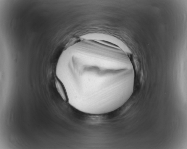 X0000083600233200703091748