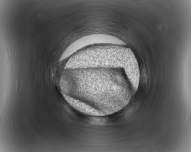 X0000083600234200703091748