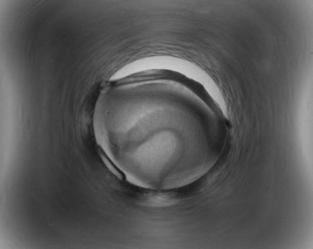 X0000083600235200703091748