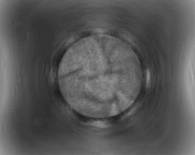 X0000083600236200703091748