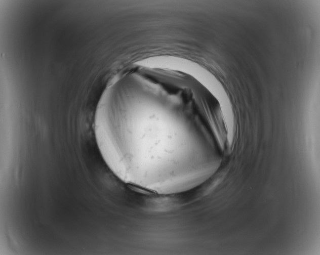 X0000083600237200703091748