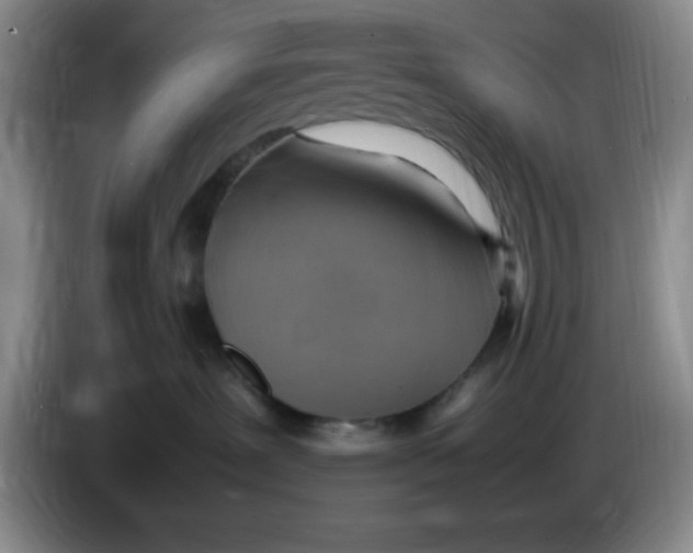 X0000083600239200703091748