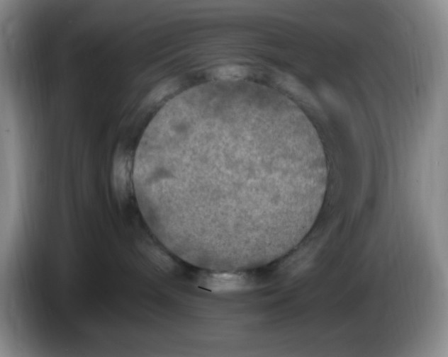 X0000083600240200703091748