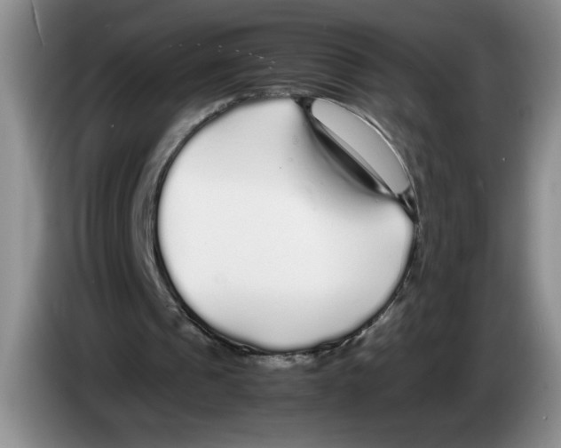 X0000083600241200703091747