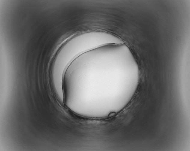 X0000083600242200703091747