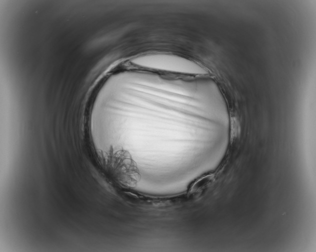 X0000083600243200703091747