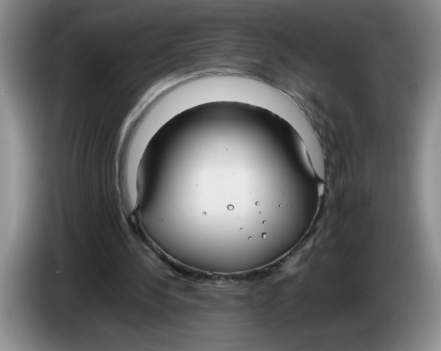 X0000083600244200703091747