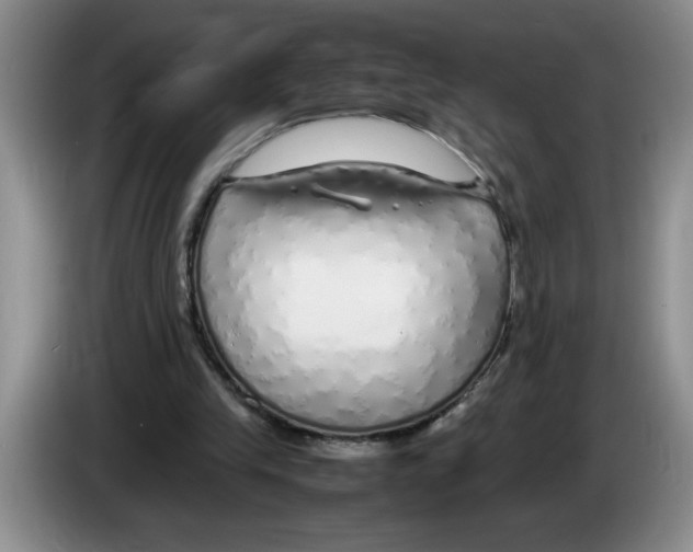 X0000083600245200703091747