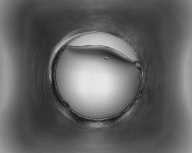 X0000083600246200703091747