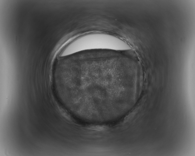 X0000083600247200703091747