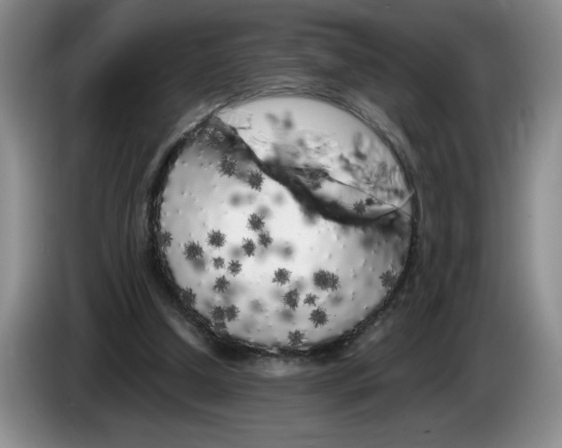 X0000083600250200703091747