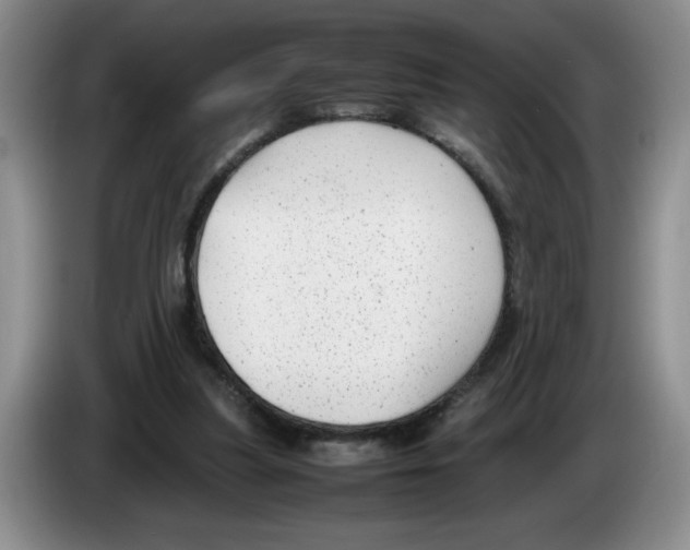 X0000083600251200703091747