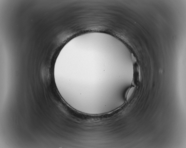 X0000083600252200703091747