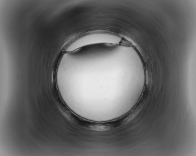 X0000083600253200703091747