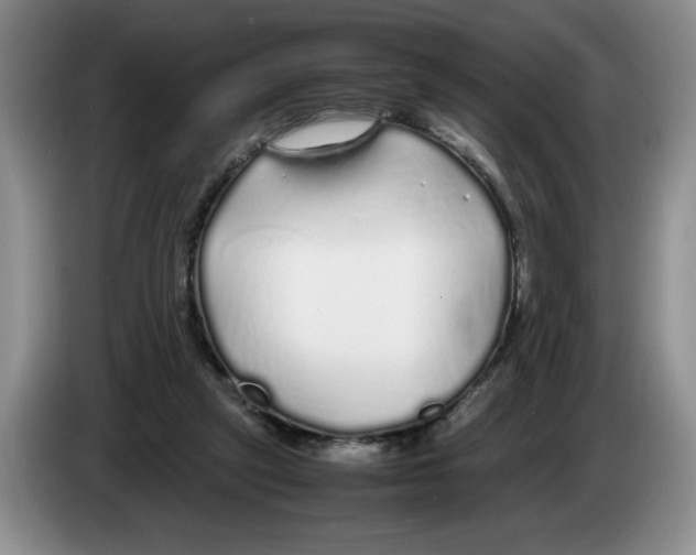 X0000083600257200703091747