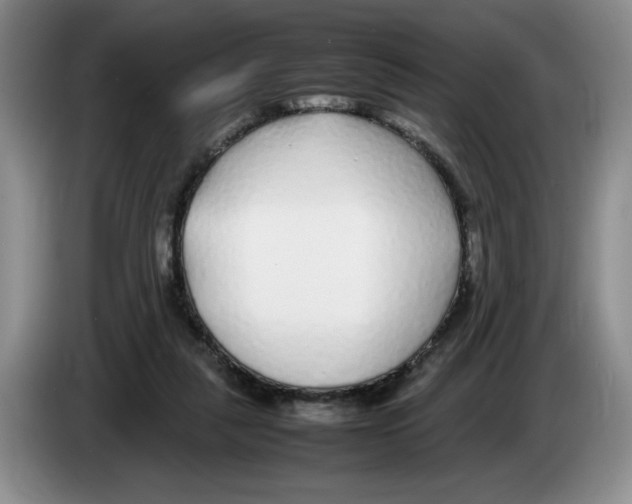 X0000083600259200703091747