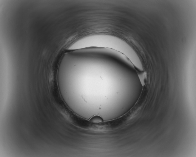 X0000083600260200703091747