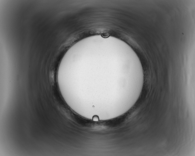 X0000083600262200703091747